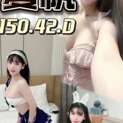 嘉義定點茶 夏帆