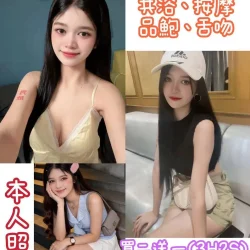 新北定點茶 籽籽