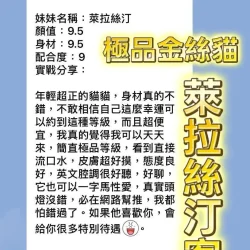 桃園定點茶 萊拉絲汀 - 找妹老司機