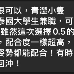新竹定點茶 艾希 - 找妹老司機