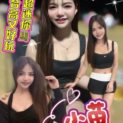 新北定點茶 小苗