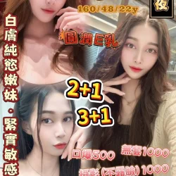 桃園定點茶 海妮