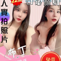 苗栗定點茶 布丁