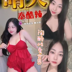 南投定點茶 晴天