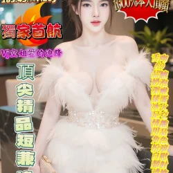台中定點茶 沈夢儀