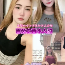 新北定點茶 金促咪