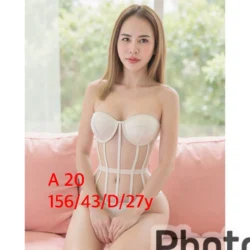 嘉義定點茶 A20 - 找妹老司機