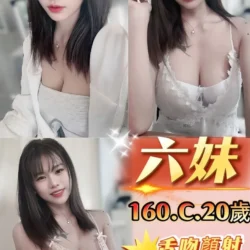 新北定點茶 六妹