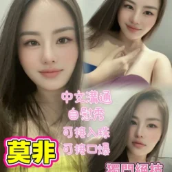 桃園定點茶 莫非