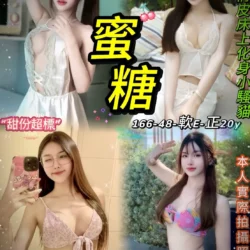 台北定點茶 蜜糖