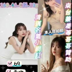 新竹定點茶 圓仔