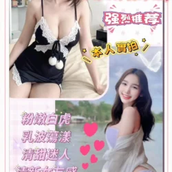 台中定點茶 張含英