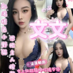 嘉義定點茶 文文