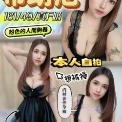 南投定點茶 布朗尼