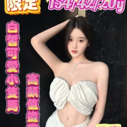 嘉義定點茶 許蜜 - 找妹老司機