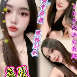 台北定點茶 慕辰