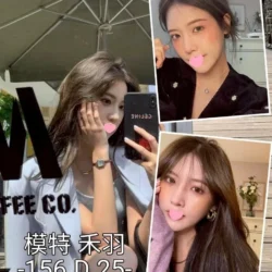 台中外送茶 禾羽