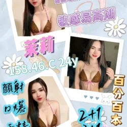 屏東定點茶 茉莉