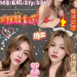 台北定點茶 白藝