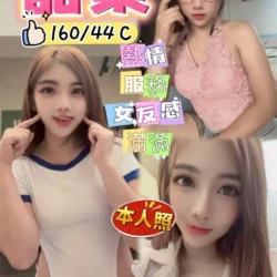 高雄定點茶 甜菜