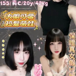 台北定點茶 初鈴