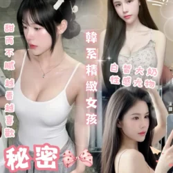 台北定點茶 秘密