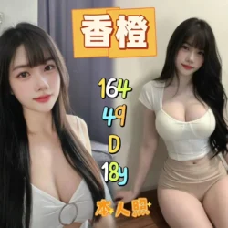 新北定點茶 香橙