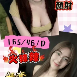 台南定點茶 梅子