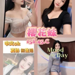台南定點茶 櫻花妹