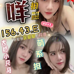 苗栗定點茶 咩咩