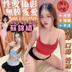 屏東定點茶 蘇錦繡