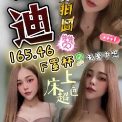 苗栗定點茶 泰迪