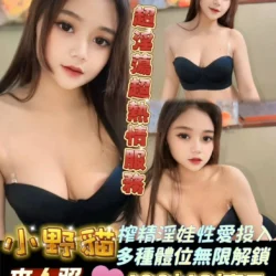 雲林定點茶 小野貓