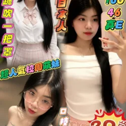 屏東定點茶 奶波