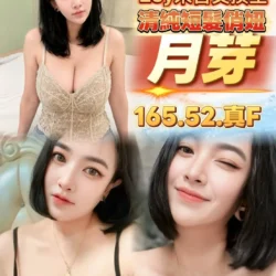 台中定點茶 月芽
