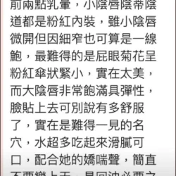 台北外送茶 吉岡麗奈 - 找妹老司機