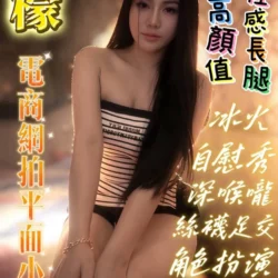 台南定點茶 檸檬