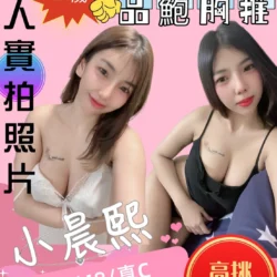 苗栗定點茶 小晨熙