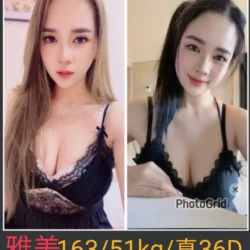 南投定點茶 雅美