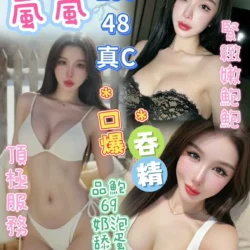 台中定點茶 嵐嵐