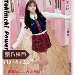 台北外送茶 綾乃梓月 - 找妹老司機