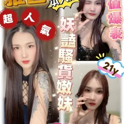苗栗定點茶 雅茵