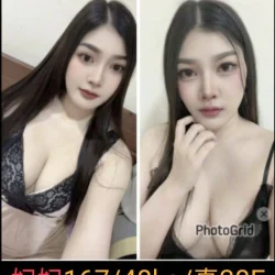 南投定點茶 妃妃