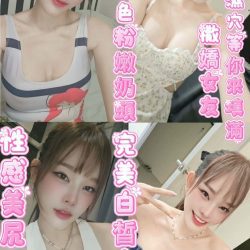 台東定點茶 少淇