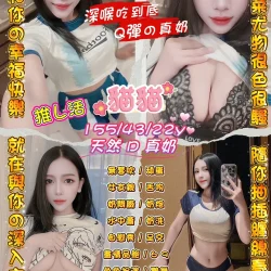 台北定點茶 貓貓