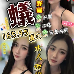 苗栗定點茶 螞蟻
