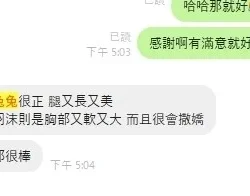 新竹定點茶 兔子 - 找妹老司機