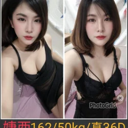 南投定點茶 婕西