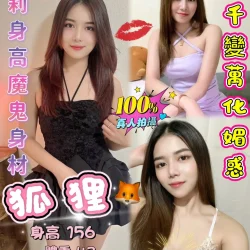 台北定點茶 狐狸