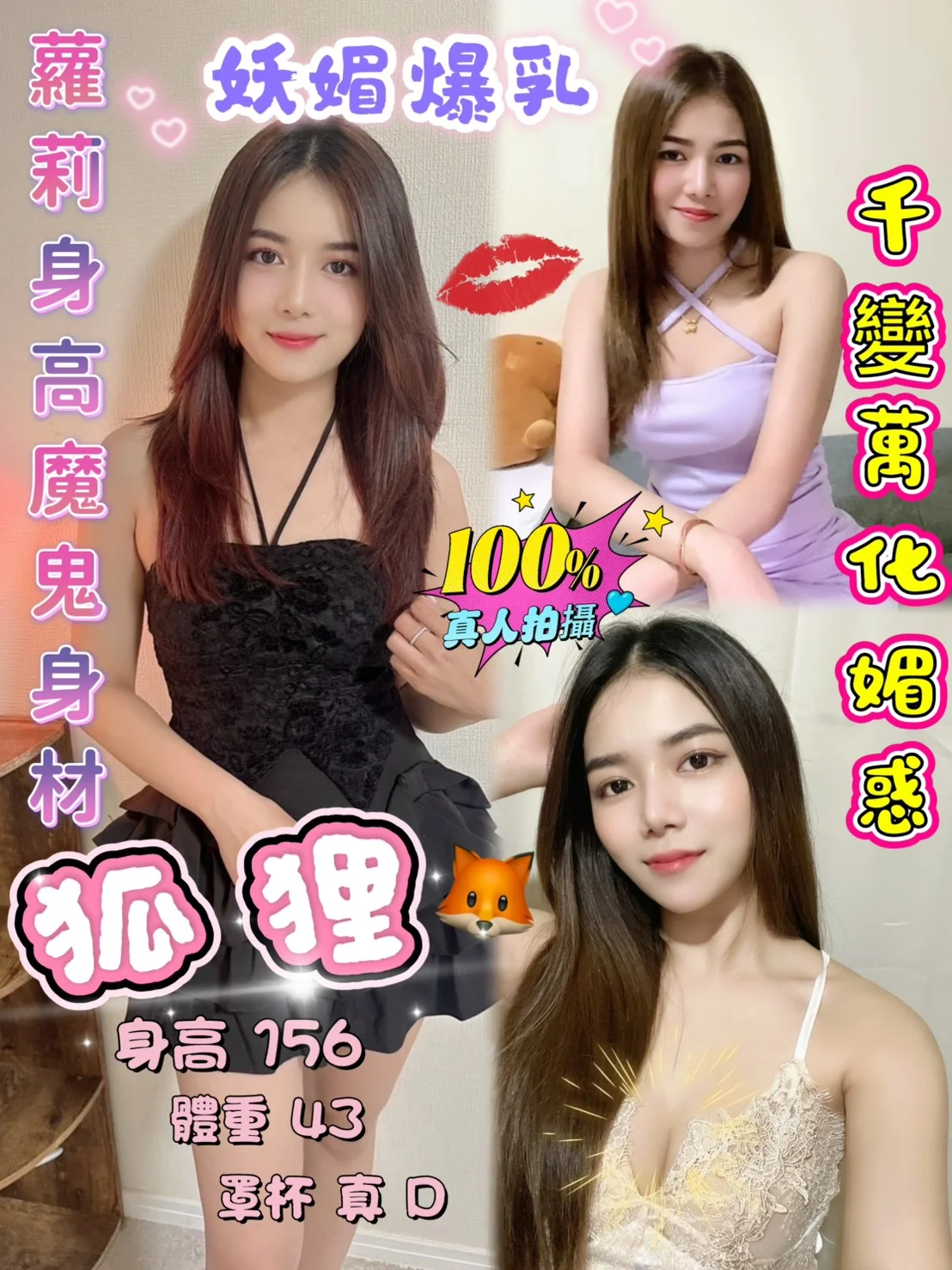 台北定點茶 狐狸 1 台北定點茶 狐狸